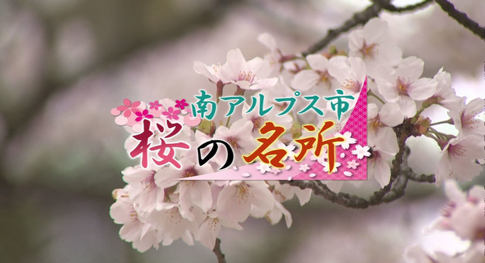 sakura_meisho.jpg
